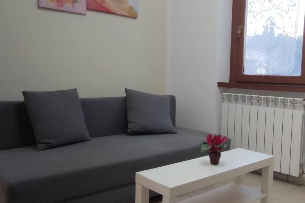 Janahome - Affitti Brevi Pisa Bagian luar foto